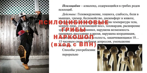 экстази Михайлов