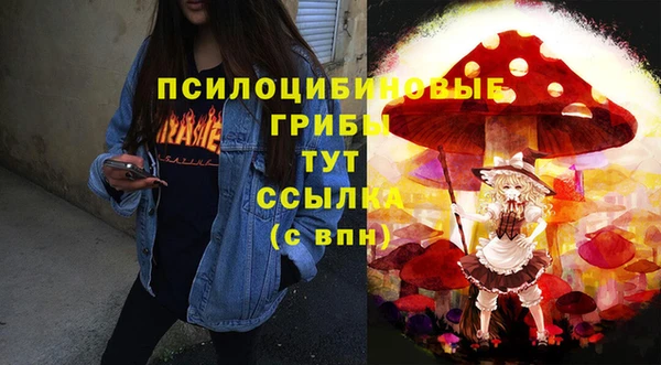 эйфоретик Михайловск