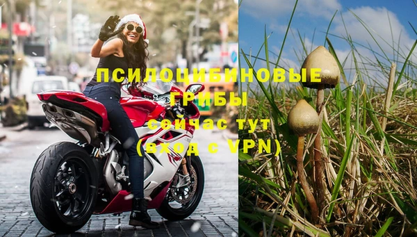 эйфоретик Михайловск